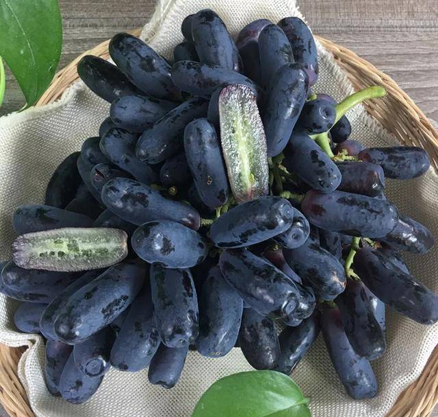 兜里有钱别乱花 此树家里栽一棵 果实香甜多汁 比橘子还好吃 蓝宝石
