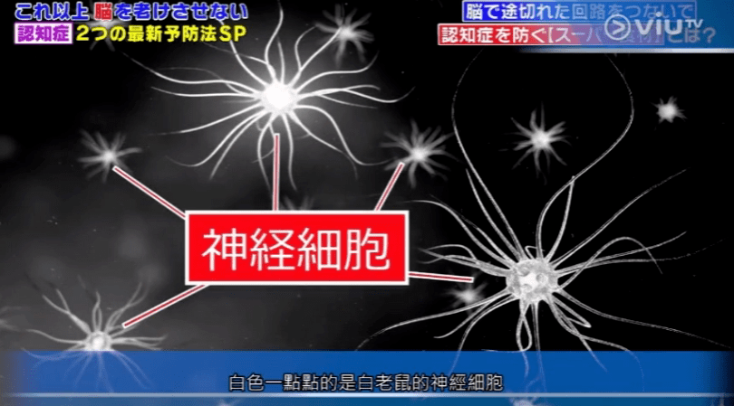 梦见亲人口吐鲜血_越南军队装备一攻坚利器,半径50米内可让人员口吐鲜血