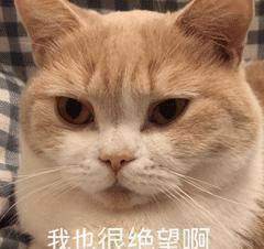 38a900ccc7084ad4ab7e81e116739fee.jpeg