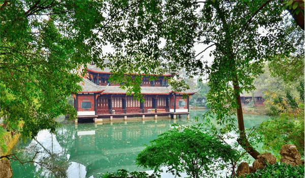 四川人气十足的桂湖公园，迅速走红，环湖一周以种桂树而闻名