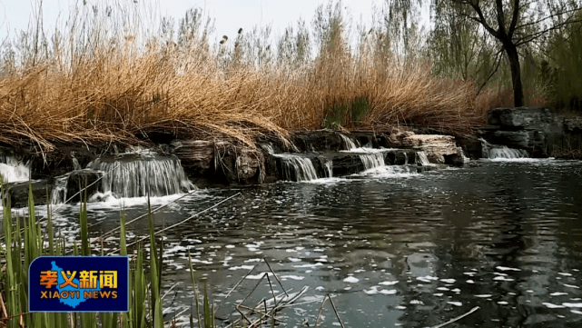 美景上线-孝河国家湿地公园
