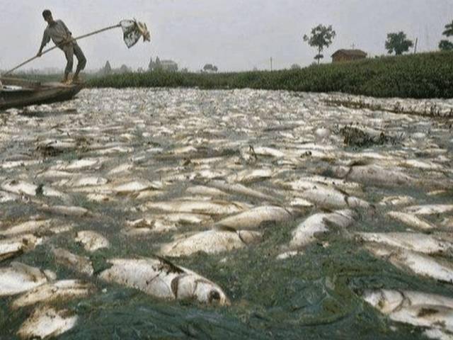 世界上最危险的5条河流，曾经的清水河，变成了如今最脏的河