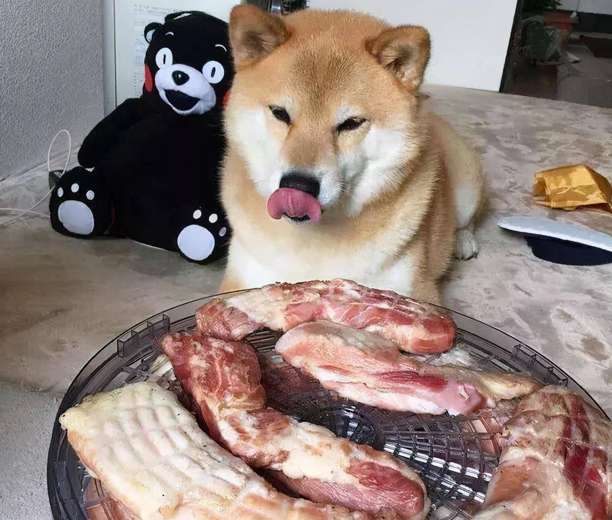 27c268c342dd4c56a9ce89c7d4ece13a.jpeg