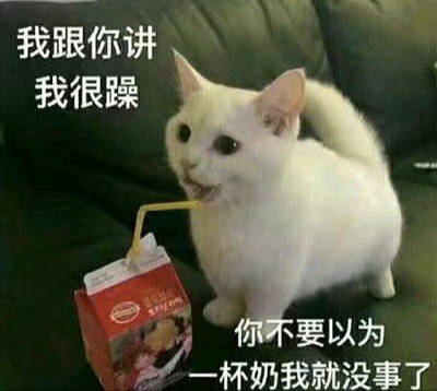 5f19175d14544783a3b397bd6a7872a7.jpeg