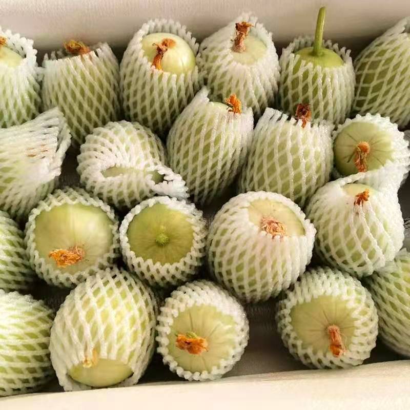 老婆网购了一箱"甜瓜",咬上一口,我瞬间懵了!连呼:上当了!