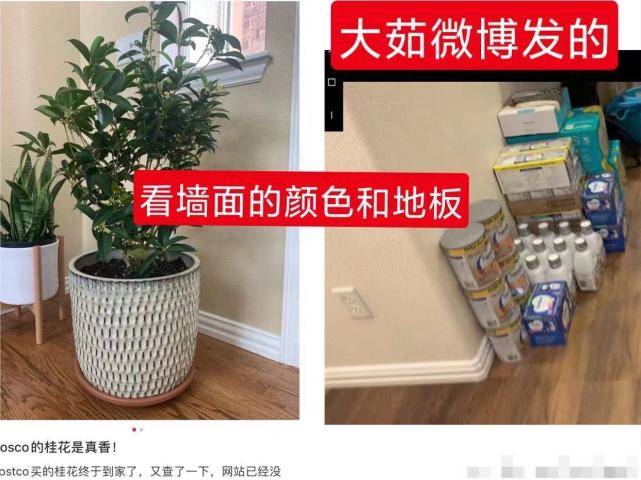 郑爽后世曝光并非本人u乐登录?疑是张恒抱密友孩子摆