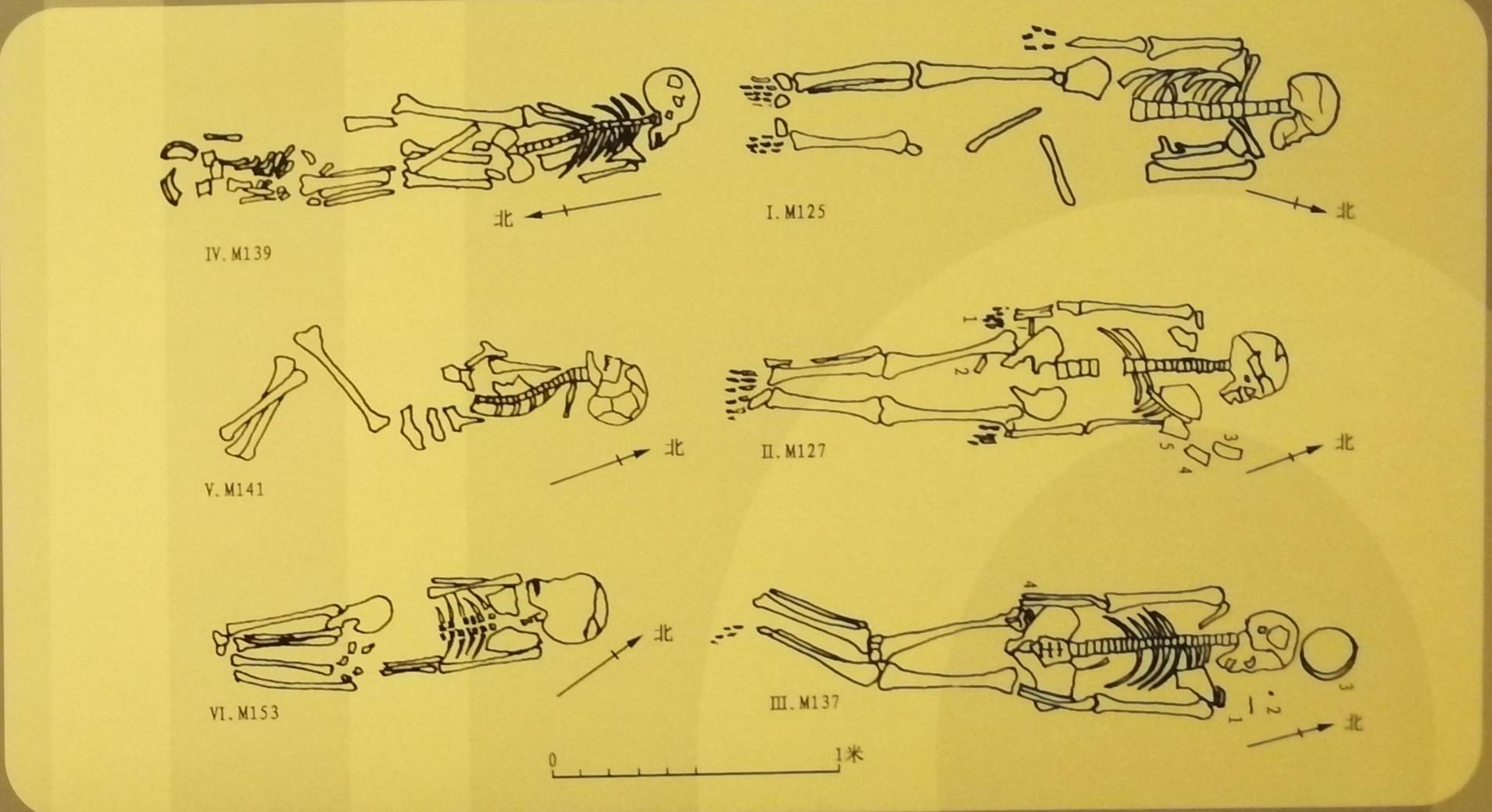 中国古代人均寿命_中国人均寿命变化图