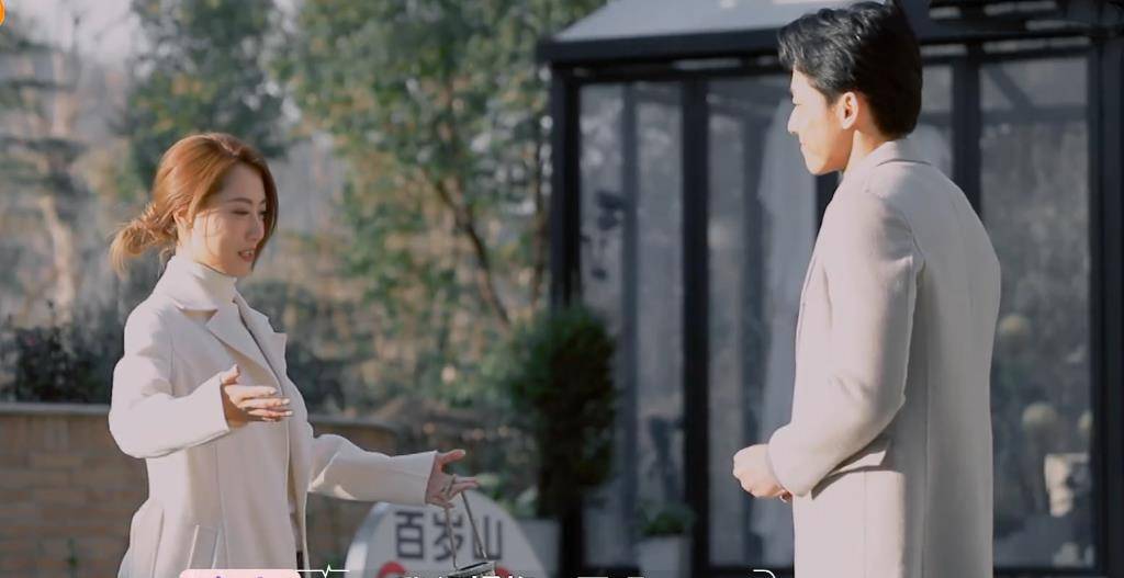 原创王子文吴永恩高调官宣黄奕牵手崔伟怦然再心动完美收官