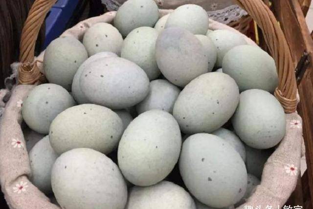 哪里买松花蛋 b9de2988c4ac48bca2a9a965b1ac8244.jpeg