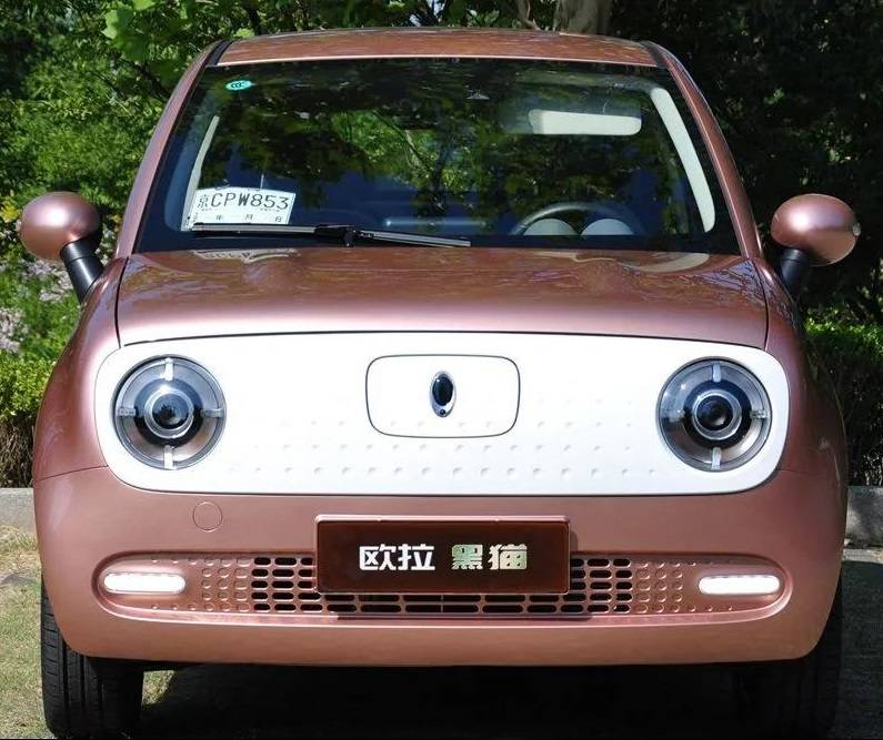 798万元续航351公里能坐4人欧拉黑猫是你的菜吗