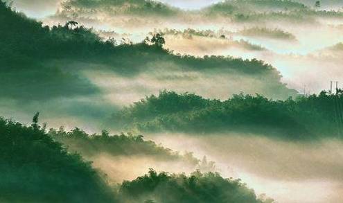 “云山竹海，天上人间”，世界最大竹林面积集中地，蜀南竹海