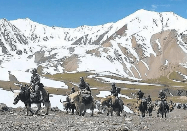 原创机枪淘汰骑兵?别说骑马骑牦牛水牛的都有!盘点全球那些现役骑兵