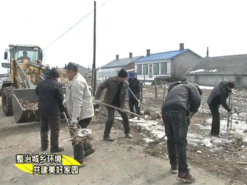 抓实党史学习教育整治农村环境卫生