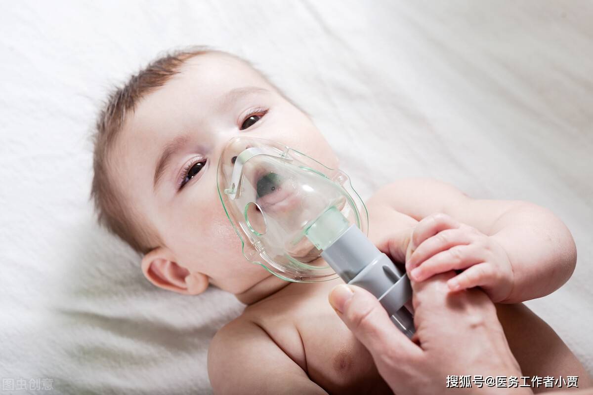 赤灵芝与呼吸系统健康- Mikei® Red Reishi, image size:1200x800