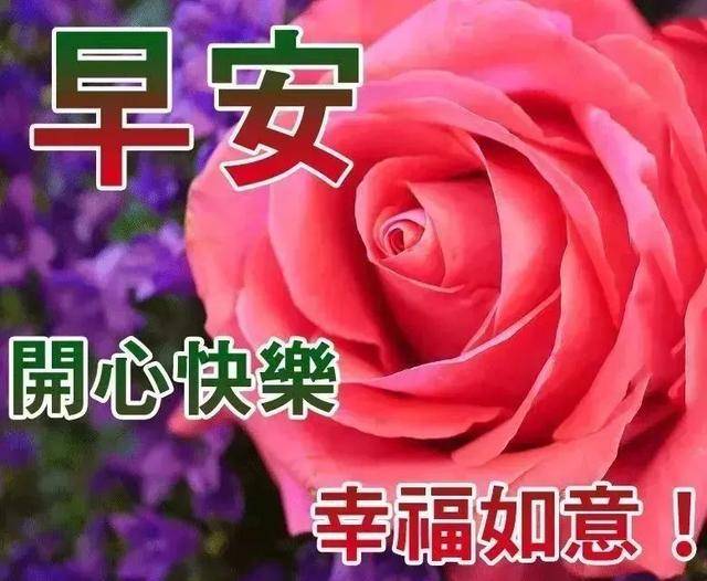 原創最美早安問候圖片帶字帶祝福語唯美早安問候語