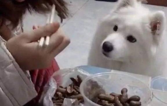 b1dd4789f362444f947e503a432f7e34.jpeg