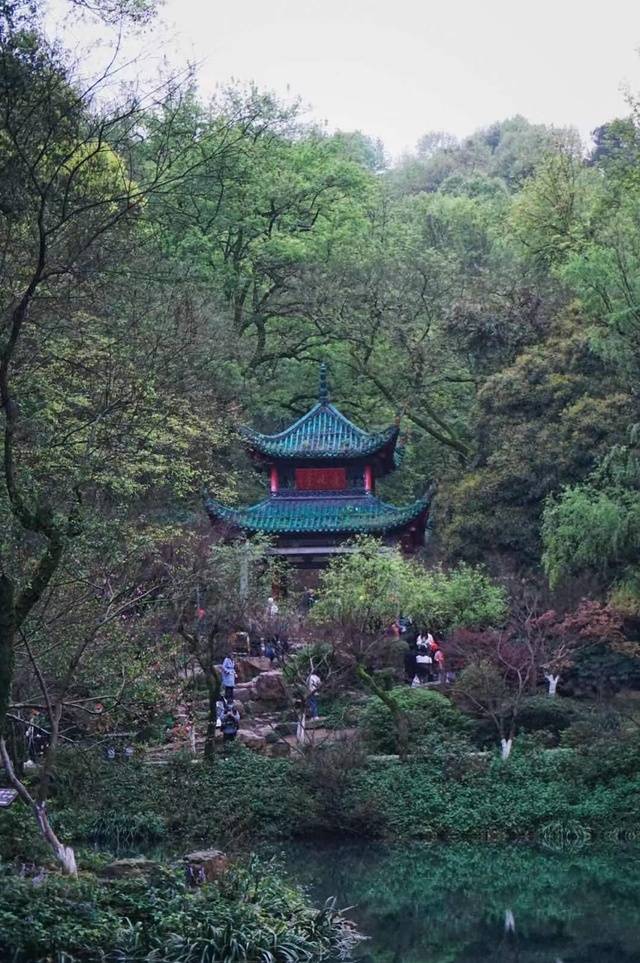 每日一景 停车坐爱枫林晚 霜叶红于二月花 毛泽东