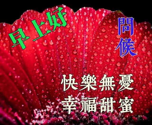 祝你早安简谱_祝你早安午安晚安视频(3)