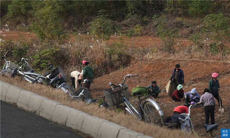 朝鲜平壤，5种交通工具最常见，当地人最喜欢的还是这种交通工具