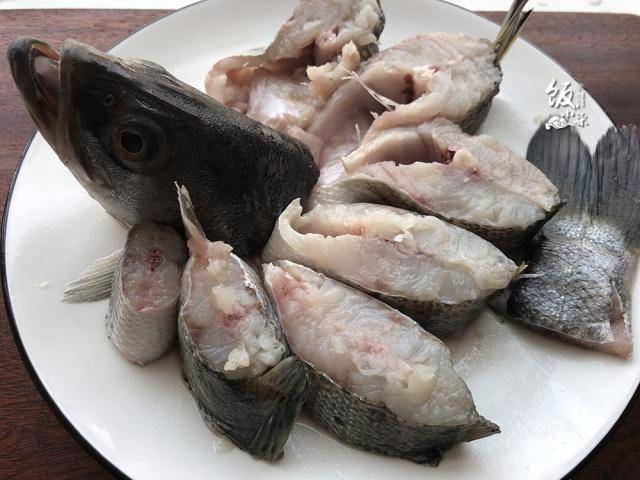 鱼的记忆力有多差 6d68f161da26425c8af015e8bc09d1dd.jpeg