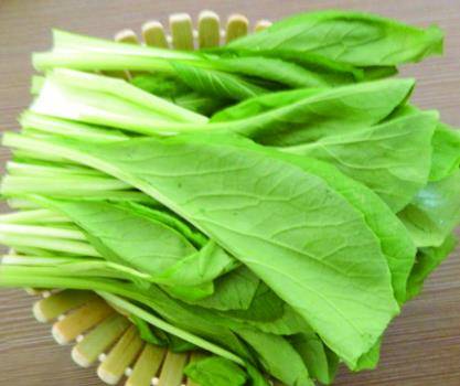 润肠通便的蔬菜有哪些(缓解便秘的蔬菜有哪些)