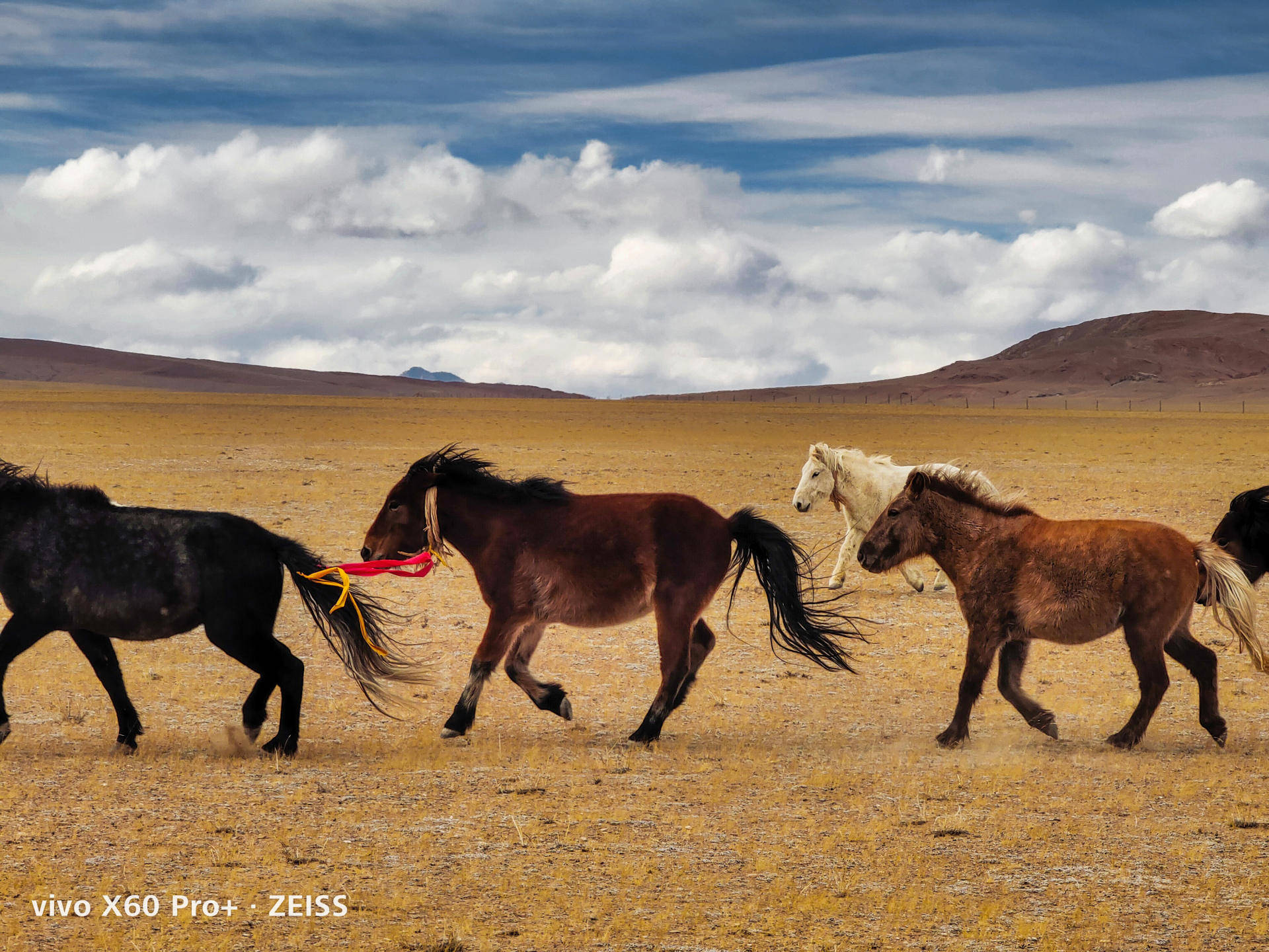 影像实力超强悍vivox60pro让人不禁运用手机拍下更多美景