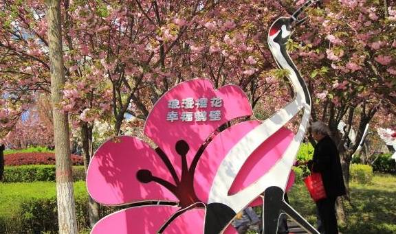 中国最低调的樱花小城：4000米樱花大道免费看，游客却不多