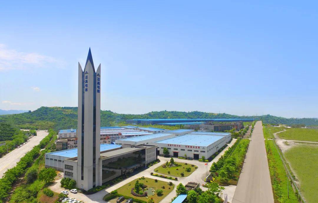 合川区委副书记区长徐万忠一行莅临迈高电梯公司考察调研