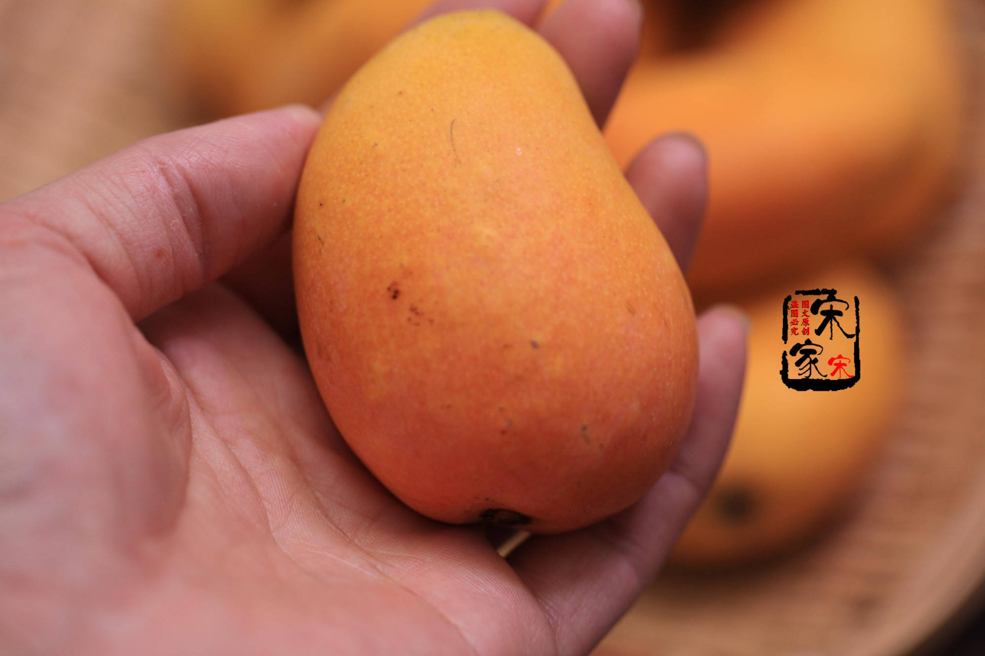 芒果有"黑点"能不能买?老板:看皮相,一挑1个准