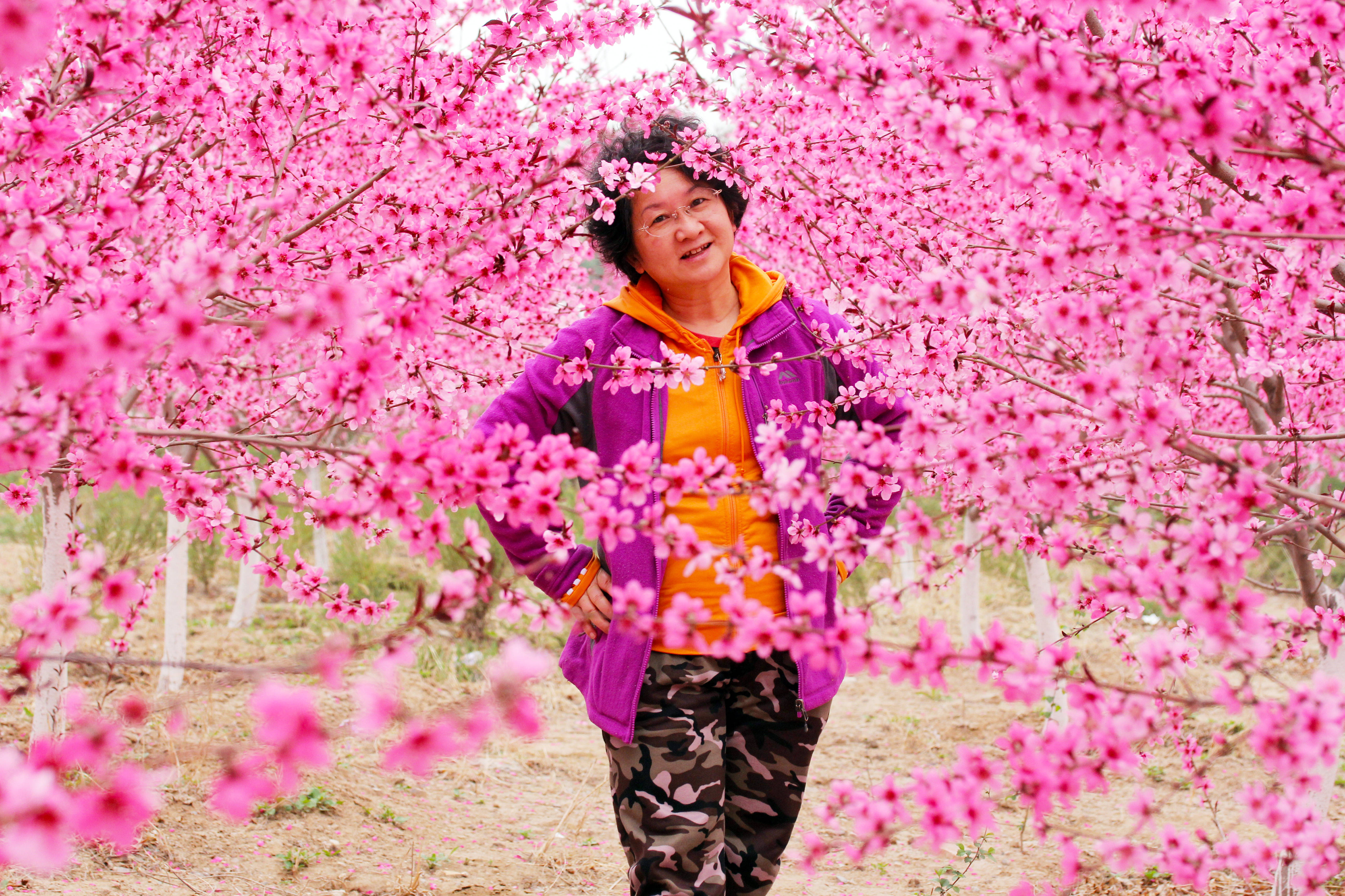 北京五环边有一片桃花源，空无一人似仙境，花开得比公园都美