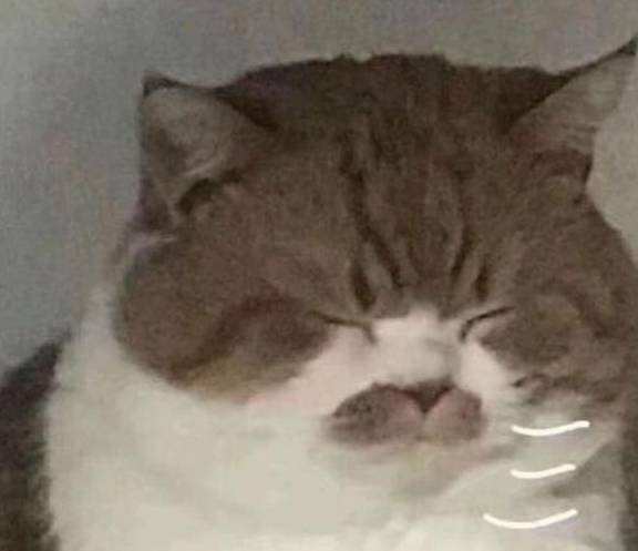 44b658d4cd224605886b220d46324b9a.jpeg