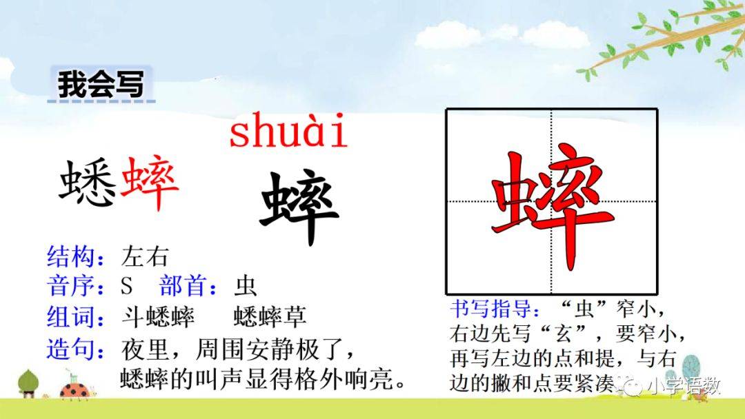 预习部编版六年级下册第16课表里的生物图文讲解