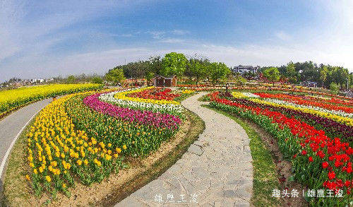 武汉周边的自驾游胜地，踏青赏花、千亩花海，随手一拍就是大片