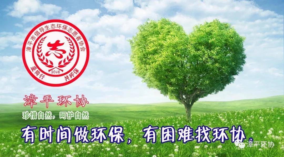 公益林可以做什么 2d6157efcd984eccbf4870ac7c0b0f79.jpeg