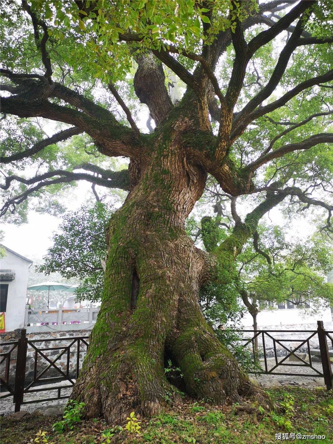 苏州西山明月湾古村落