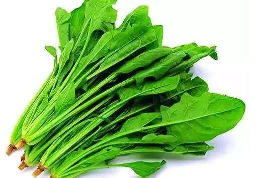 菠菜是什么性的食物 7dd8530e44e8447e839e0f9172ccb2a4.jpeg