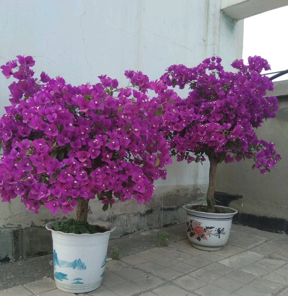 cc97c650b07448aab9bbf03ef049db42.jpeg
