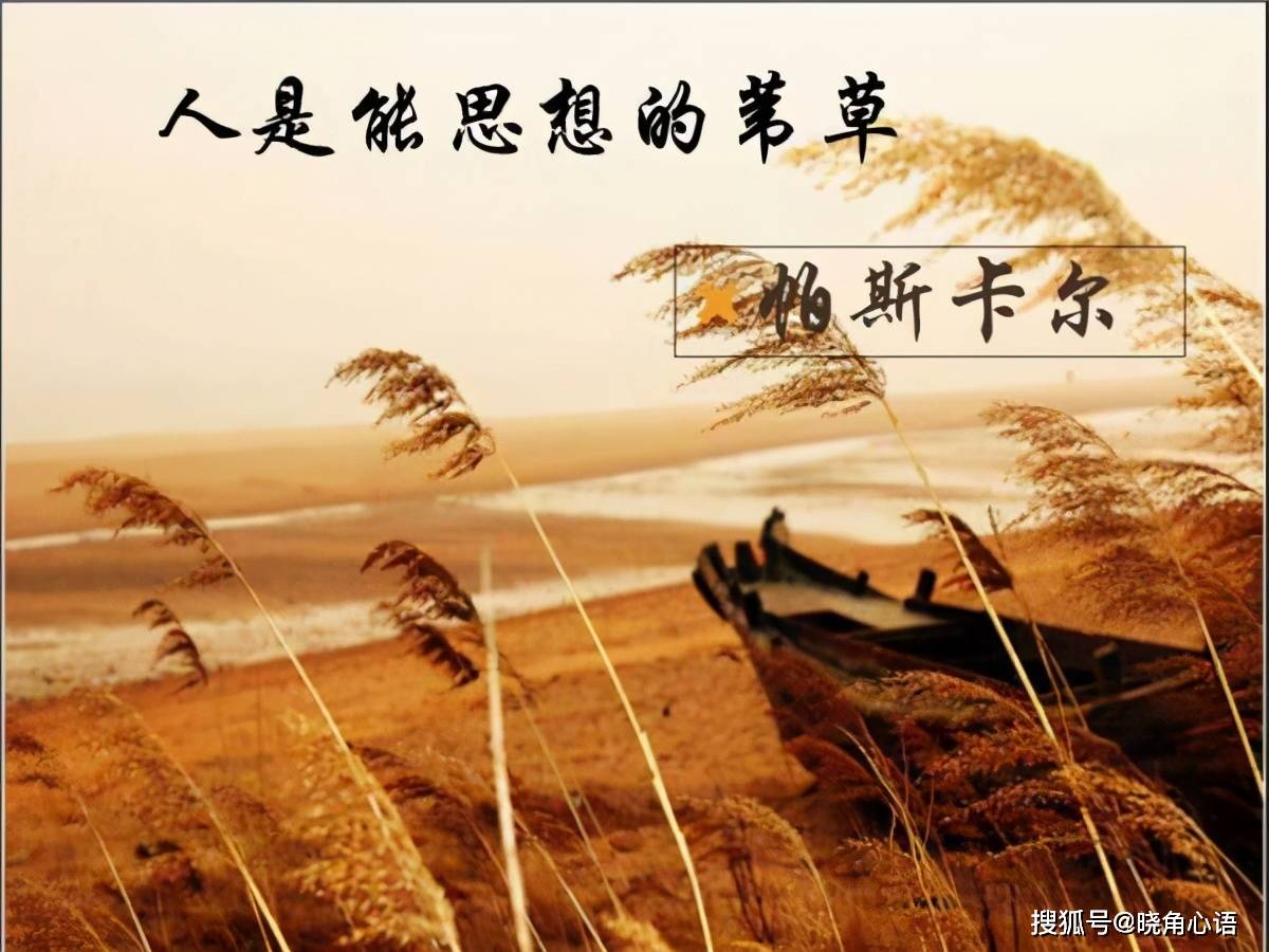 人过40撑起女人底气的不是容颜和家境丈夫和孩子而是这2点