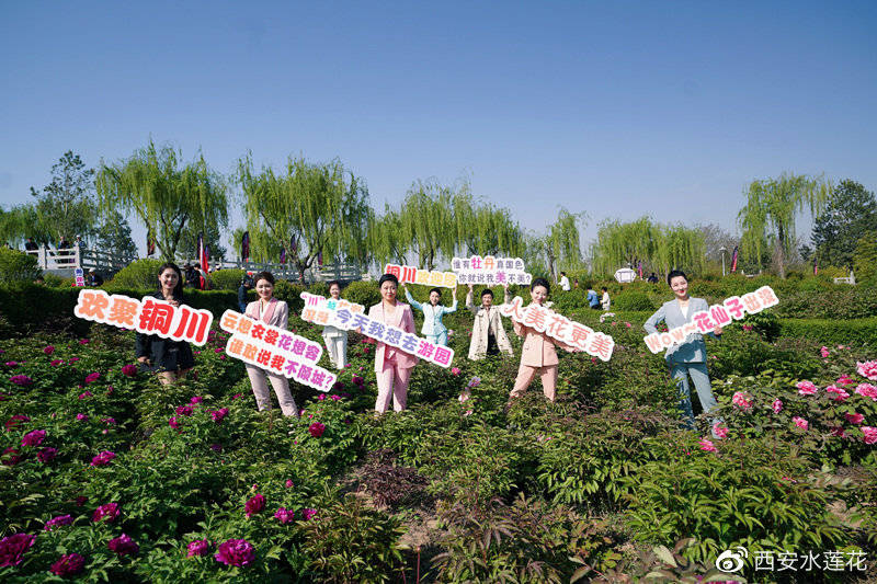 2021铜川牡丹文化旅游节盛大启幕 领略铜川的美妙春景
