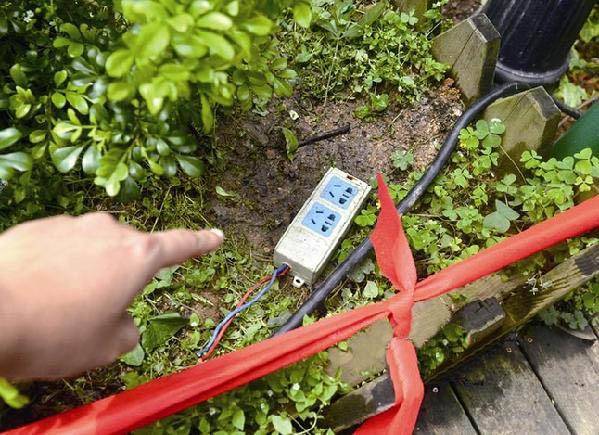 帶二貨哈士奇出去公園遛彎，結果這貨卻在草叢里被電暈！ 萌趣萌寵 第2张