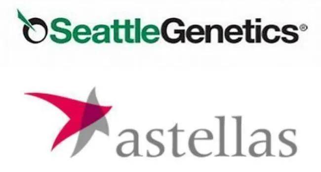 西雅图遗传学公司(seagen)与安斯泰来(astellas)近日联合宣布,美国