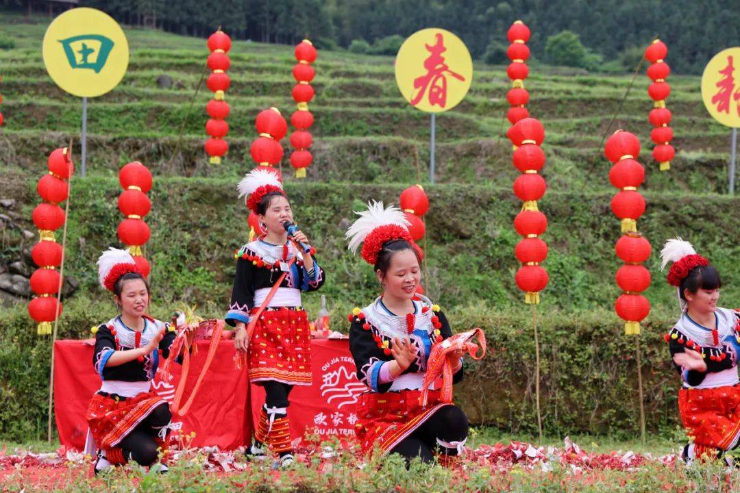 雨足郊原正得晴地绵万里尽春耕连山欧家梯田春耕节