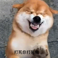 240_240gif 动态图 动图