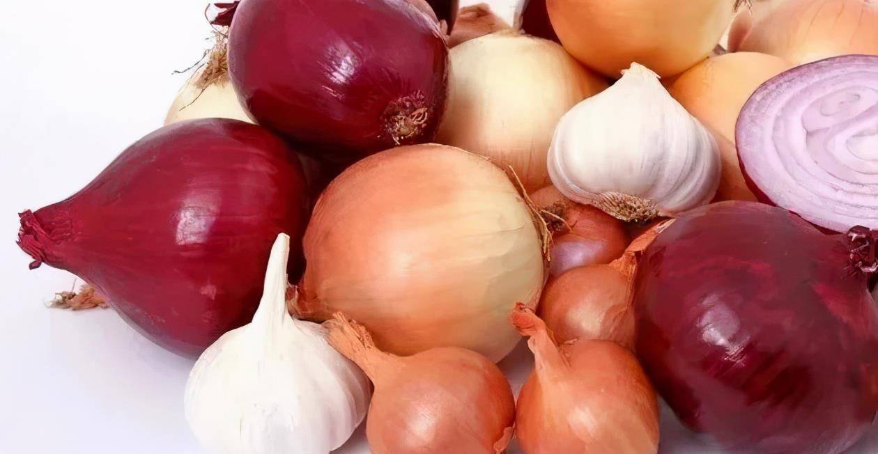 吃什么东西对血管最好呢 48411f4f70ec44e1b5f3a84e48db57fa.jpeg