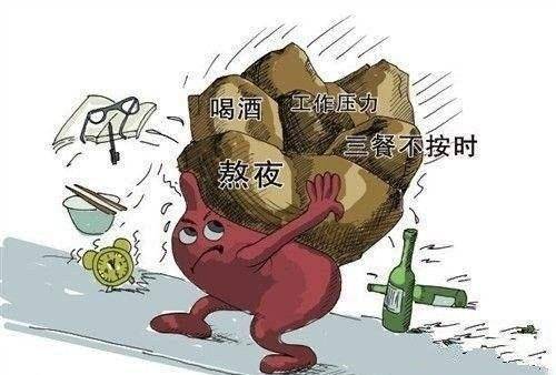 5325427c8b464ccab190632948a58ac3.jpeg