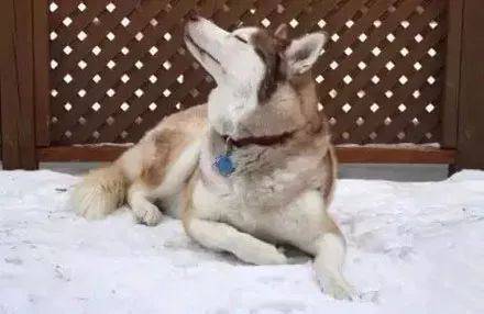 1b4a62053b7240ed95835c1fc7f886d8.jpeg