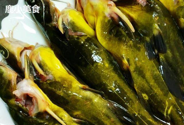 立夏将至此鱼再贵也别错过肉嫩肥美滋补营养炖汤鲜又甜