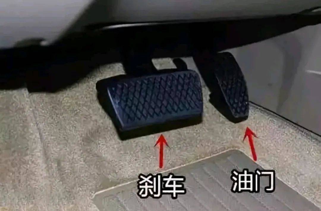 54f0aa86c8e74bf0896b8d3a335cf90f.jpeg