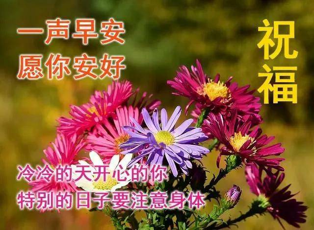 什么此身成语_师什么身什么成语(3)