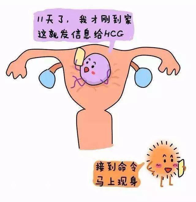 什么时候可以查怀没怀孕 cf72a85a51744d468c1977db11f9557a.jpeg
